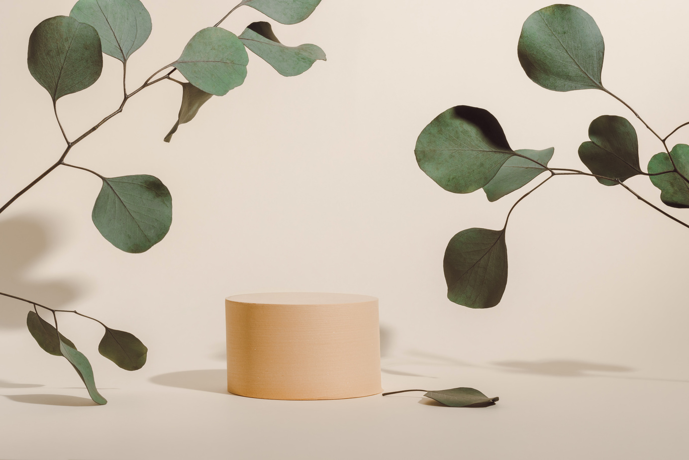 Aesthetic showcase with eucalyptus leaves and shadows